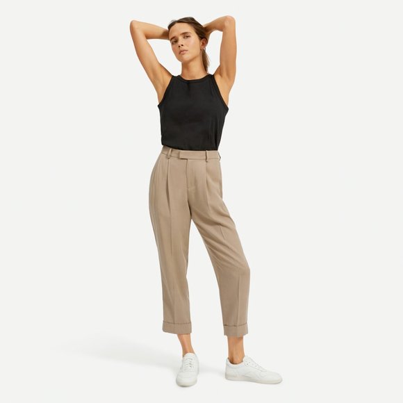 Everlane Pants - Everlane The Put-Together Pleat Pant in Clay size 00